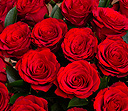 24 Red Roses