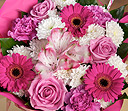 Simply Pink Gift Bag