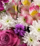 ../Sweet Sentiment